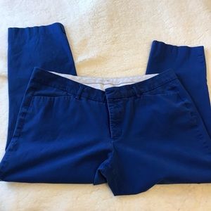 Ana Slim Ankle Pants Size 16